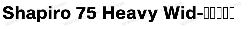 Shapiro 75 Heavy Wid字体转换